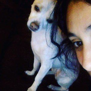 Meet your Posher, Dulce